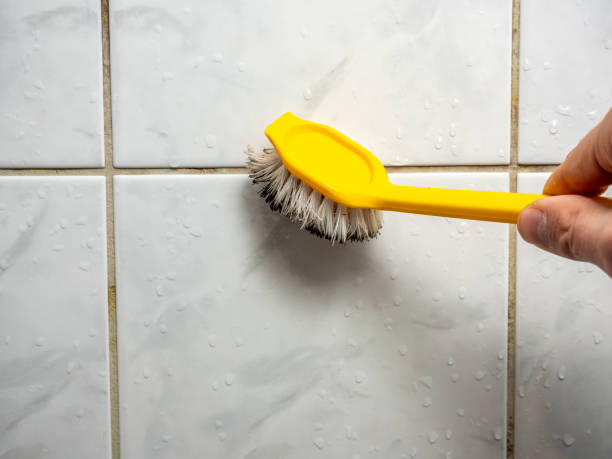 Best Best Mold Removal Companies  in Cut Off, LA